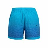 Badetj til Kvinder Jack & Jones Jpstmaui Jjswim Gradient Bl #2