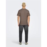 Kort�rmet T-shirt til M�nd Only & Sons Onsdawson Reg Ss Vd Falcon Lys brun #4