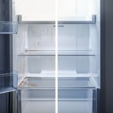 Rengringsvske Frischer FR00005_500 0,5 L #3