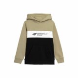 Sweatshirt til Brn 4F JBLM003  Brun #1