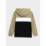 Sweatshirt til Brn 4F JBLM003  Brun #2