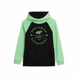 Sweatshirt til Brn 4F M221 Sort #1