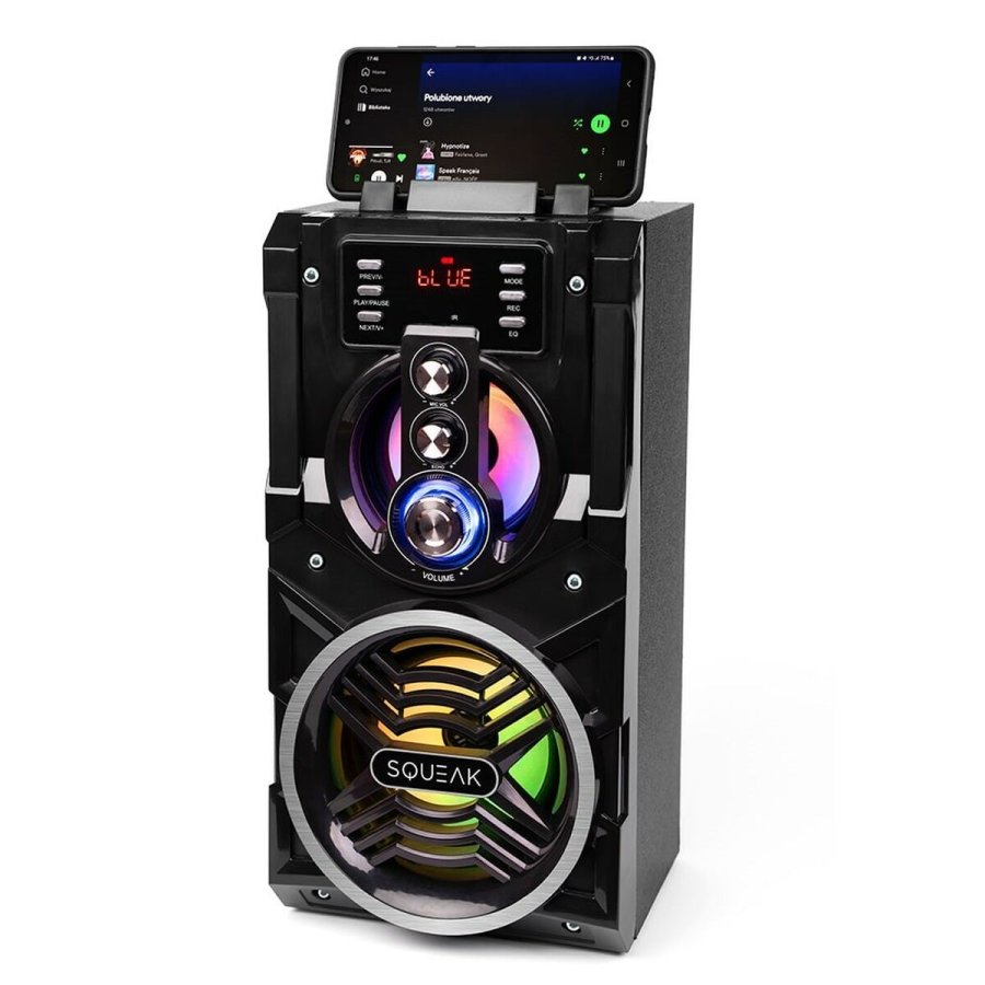 Brbare Bluetooth-hjttalere SQUEAK SQ1000 Sort 20 W #3