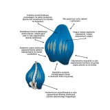 Ergonomisk kn- og ben pude Armedical #3