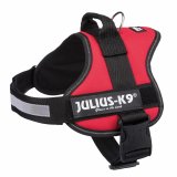 Hundesele Julius K9 Power Rd M/L #4