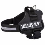 Hundesele Julius K9 Power Sort L 1 #3
