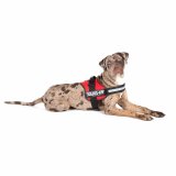 Hundesele Julius K9 Power Rd L/XL 2 #3