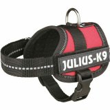 Hundesele Julius K9 Power Rd 1 Baby 1 (XS) #1