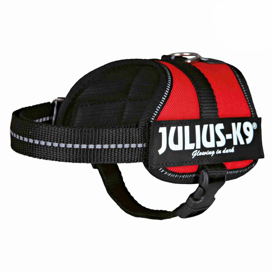 Hundesele Julius K9 Power Rd 2 Baby 2 (XS/S) #4