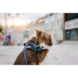 Mrkater til sele Julius K9 DON'T TOUCH S Hvid Sort (2 enheder) #2