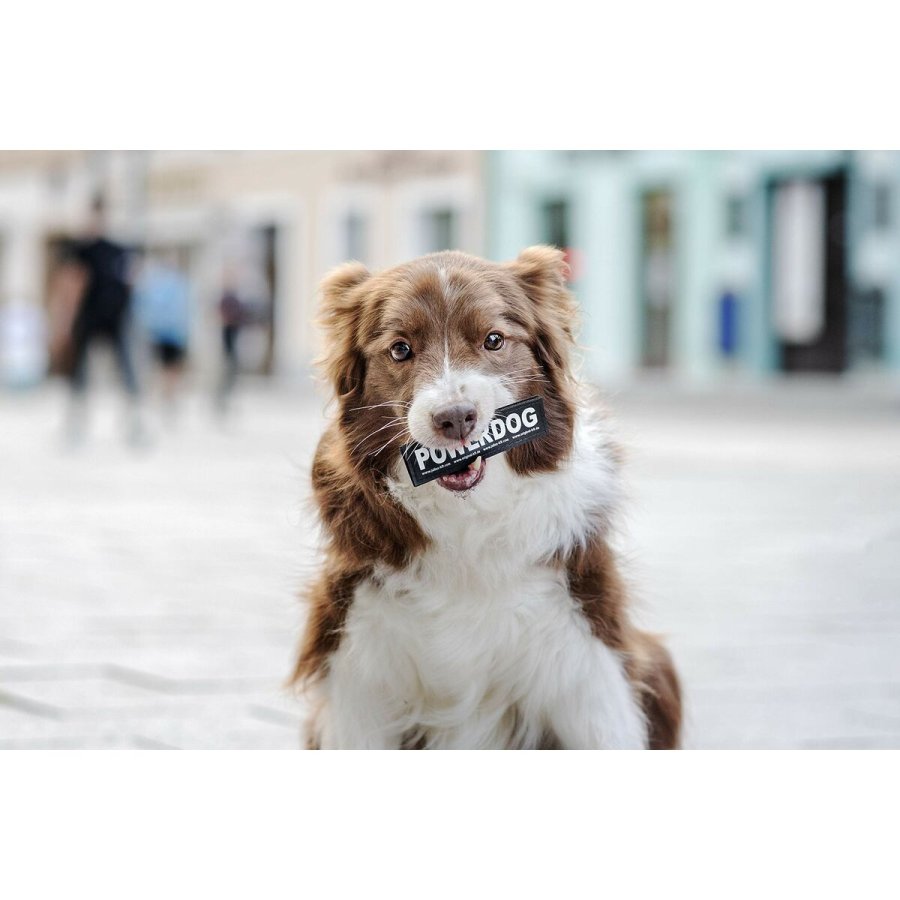 Mrkater til sele Julius K9 DON'T TOUCH S Hvid Sort (2 enheder) #3