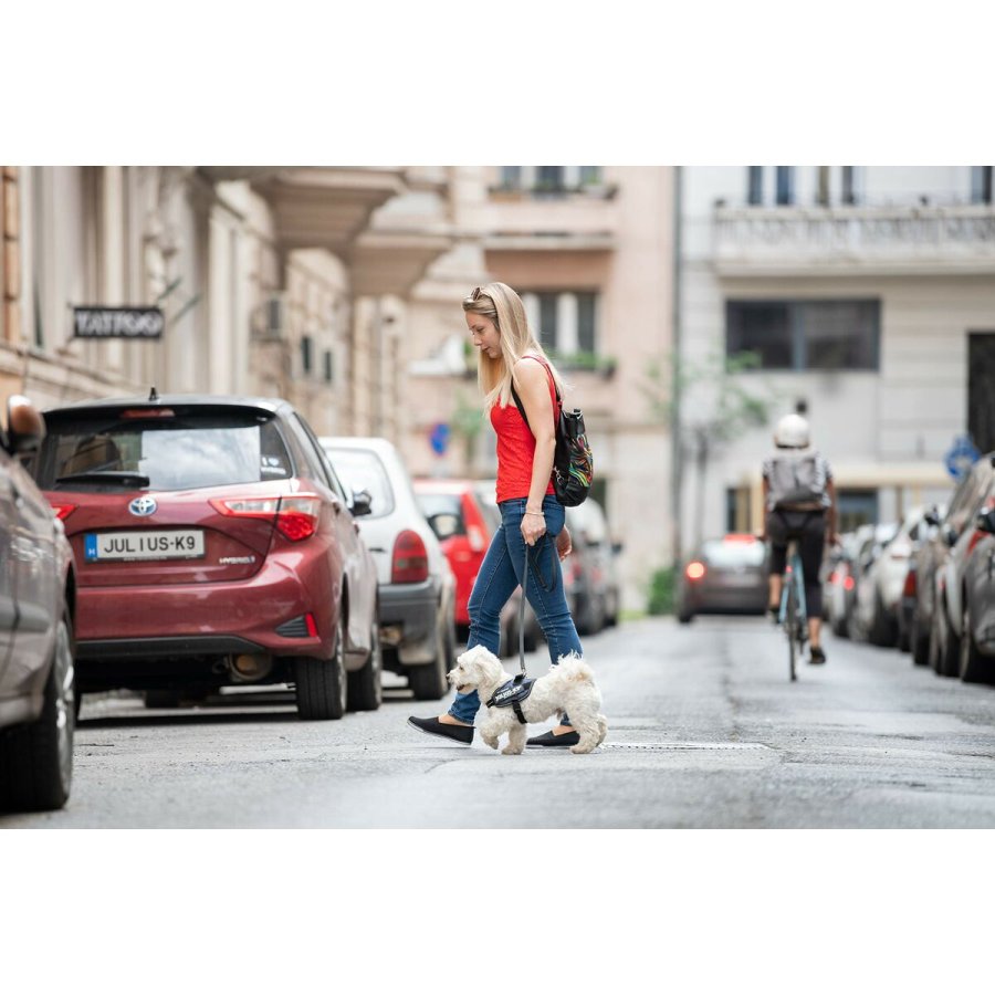 Hundesele Julius K9 IDC Cowboy mand 2 Baby 2 (XS/S) #7