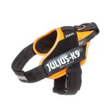 Hundesele Julius K9 IDC Orange L/XL 2 71-96 cm #4