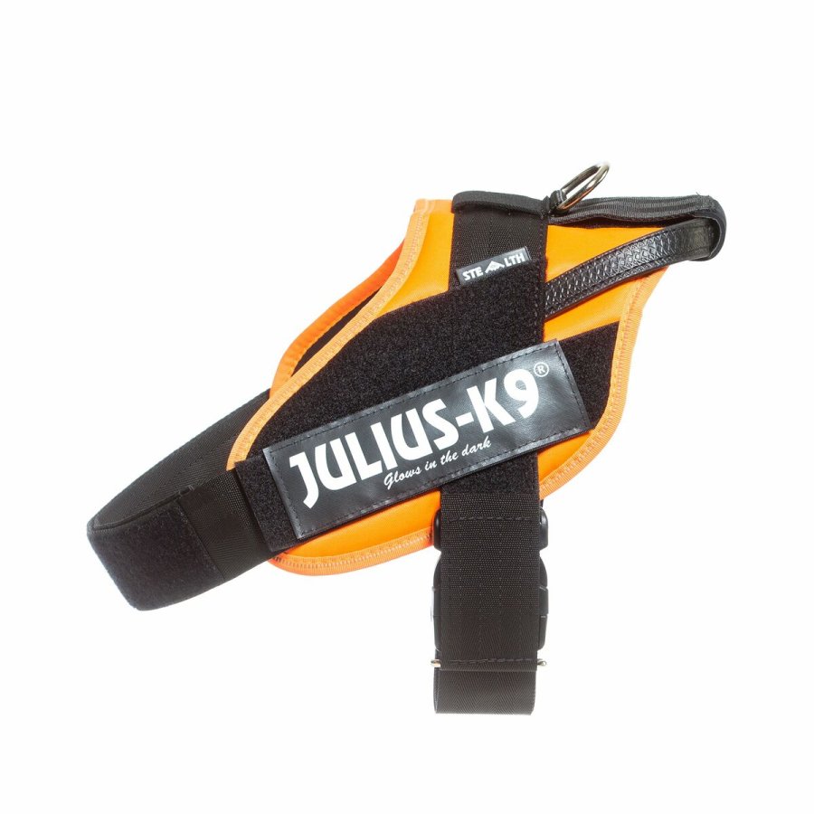 Hundesele Julius K9 IDC Orange L/XL 2 71-96 cm #3