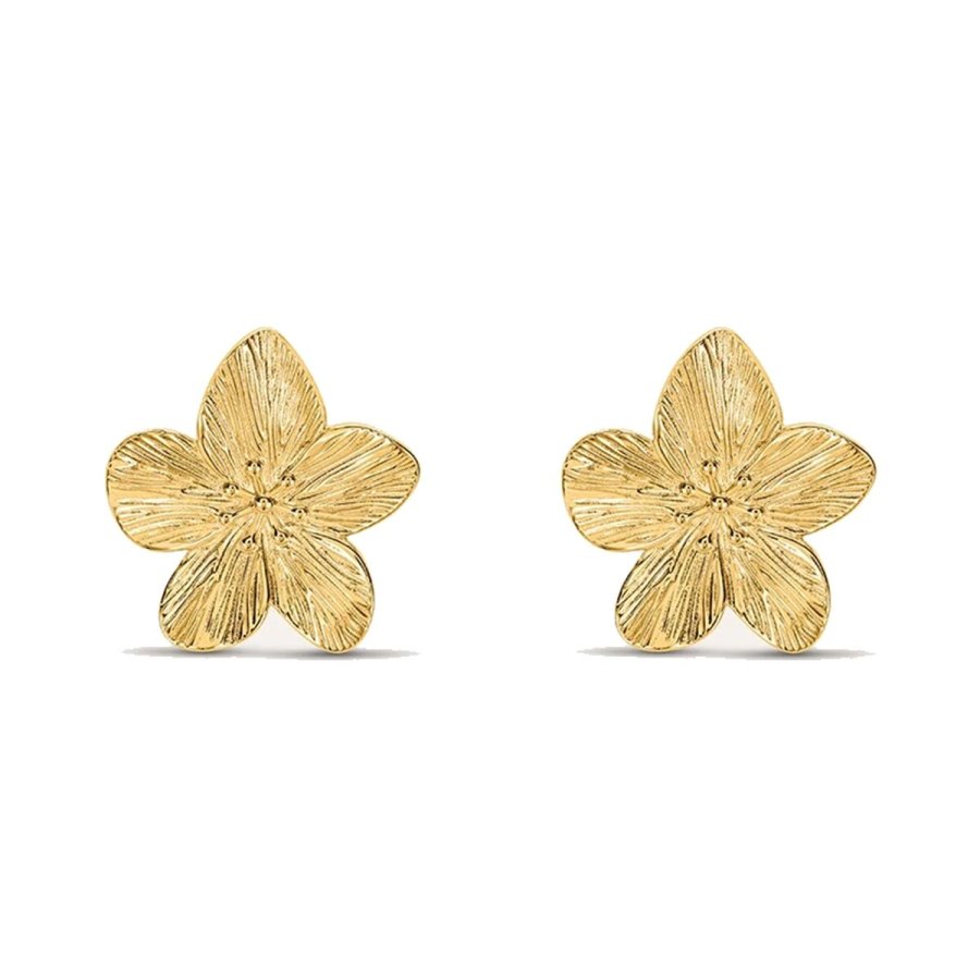 reringe til kvinder Stroili 1694692 Gylden #1