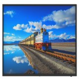 Videovg Monitor Dahua DHI-LDH55-LAI400L #1