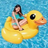 Oppustelig Figur til Pool Intex 57556 147 x 147 x 81 cm #1