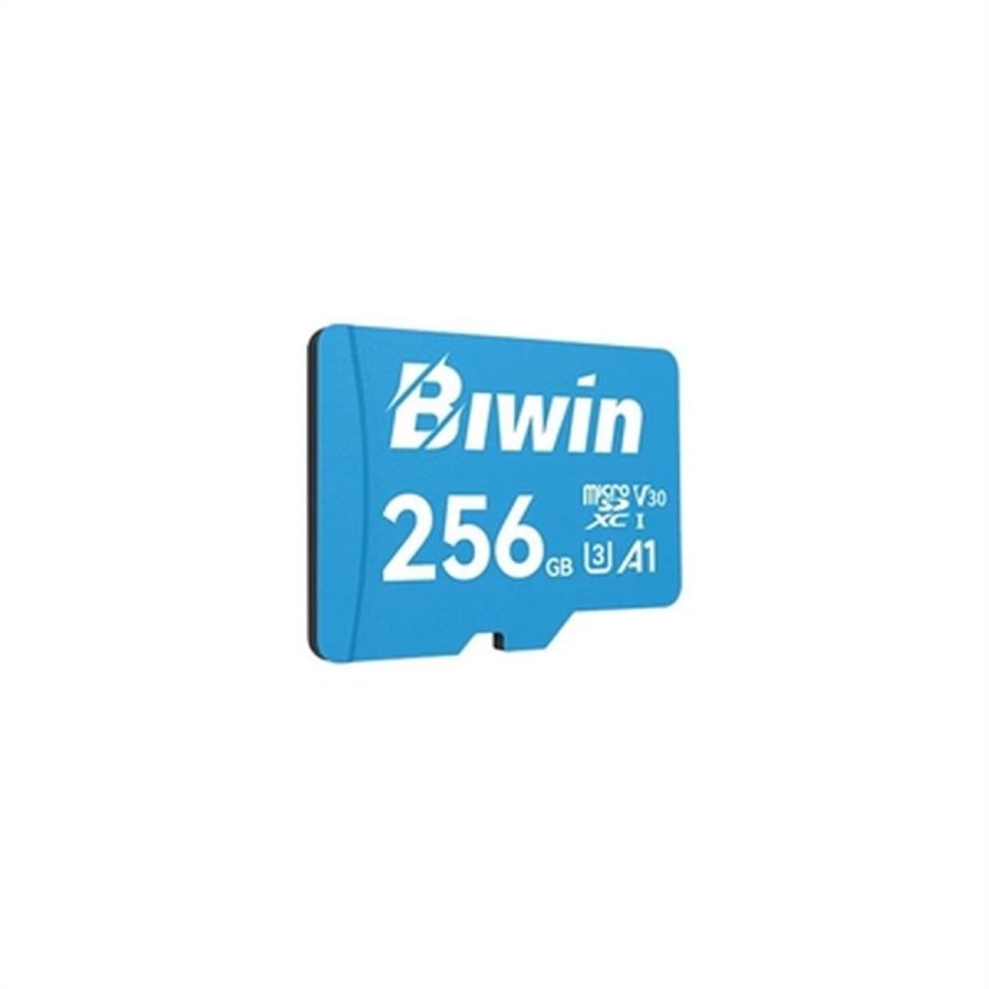 Hukommelseskort Micro SDXC Biwin MS100 256 GB #1