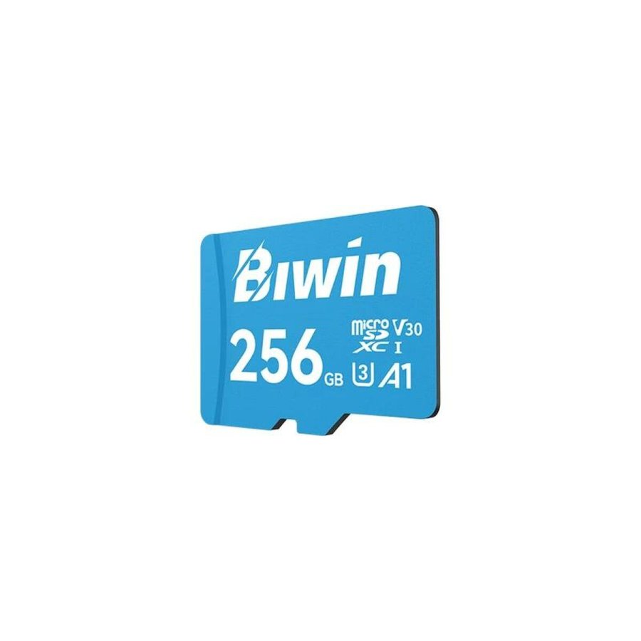 Hukommelseskort Micro SDXC Biwin MS100 256 GB #2