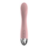 G-Punkt Vibrator Svakom 2008479 Pink #3