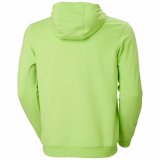 H�ttetr�je til M�nd HH LOGO Helly Hansen 33977 395 Gr�n #2