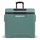 Transportabelt Kleskab Igloo71 Abeto Plastik 42 L #2