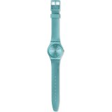 Dameur Swatch GS160 #2
