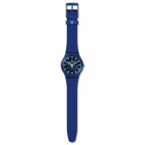 Herreur Swatch SVIN103-5300 #2