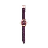 Dameur Swatch YIG401 #3