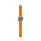 Herreur Swatch YVS101 #2