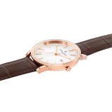 Herreur Pierre Cardin CPI.2135 (� 42 mm) #3