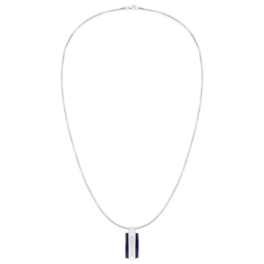 Vedhng til kvinder Tommy Hilfiger PARKER Slvfarvet #1