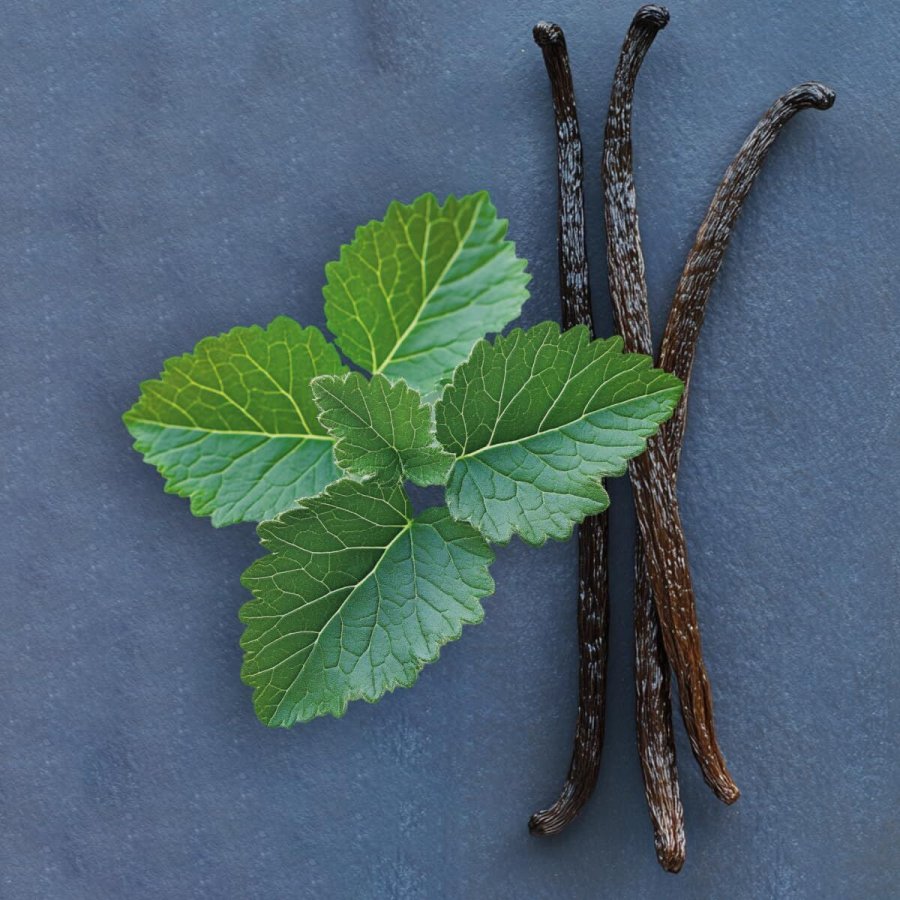 Dameparfume Elie Saab LE PARFUM Le Parfum Royal EDP 50 ml #5