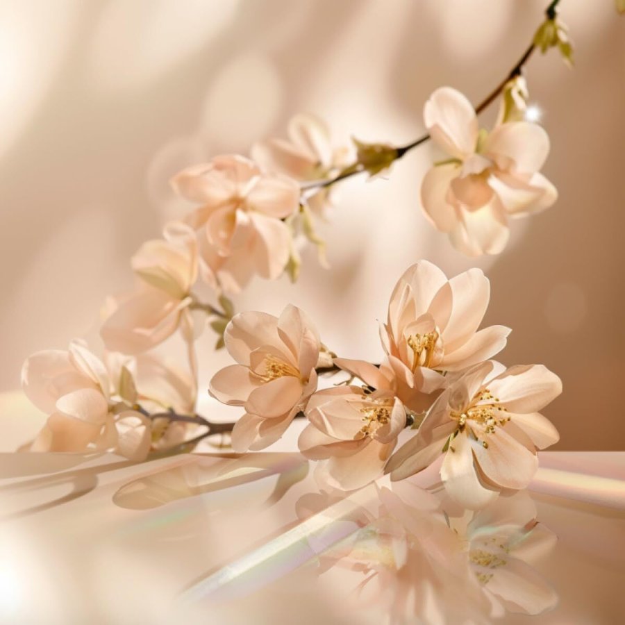 Dameparfume Elie Saab LE PARFUM 90 ml #2