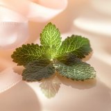 Dameparfume Elie Saab LE PARFUM 90 ml #4