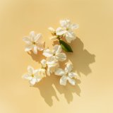 Dameparfume Elie Saab LE PARFUM LUMIERE EDP 90 ml #2