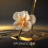 Herreparfume PHILIPP PLEIN NO LIMITS 50 ml #4