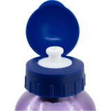 Vandflaske Frozen CZ11261 530 ml Bl Aluminium #4