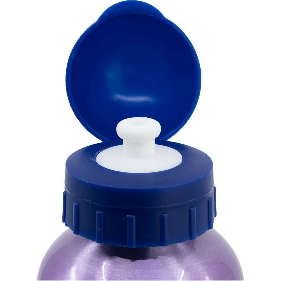 Vandflaske Frozen CZ11261 530 ml Bl Aluminium #4