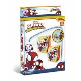 rmer Spidey 25 x 15 cm #2