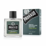 Balsam til Skgget Proraso 400732 100 ml #1