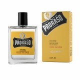 Herreparfume Proraso WOOD AND SPICE EDC 100 ml #1
