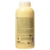 Hrbalsam Davines 1 L #5
