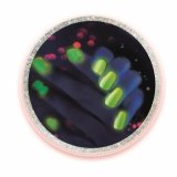 Manicurest Clementoni My Nail Laboratory Multifarvet #5