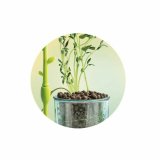 Videnskabspil Clementoni CLEMENTONI #4