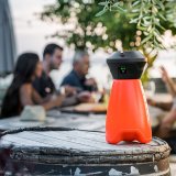 Tryksprjte til haven Stocker 2 L #2