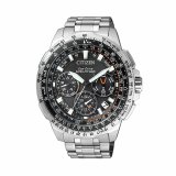 Herreur Citizen CC9020-54E #1