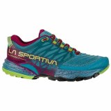 L�besko til voksne La Sportiva Akasha II Bl� #1