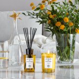 Luftfrisker Acqua Di Parma INSIEME 180 ml #17