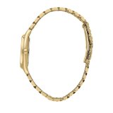 Dameur Lucien Rochat R0453120502 #2